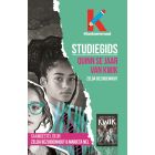 Studiegids: Quin se jaar van kwik (EBOEK)