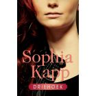 Driehoek (EPUB) 