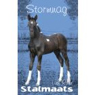 Stalmaats 15: Stormnag (EBOEK)