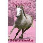 Stalmaats 16: Wegholrit (EBOEK)