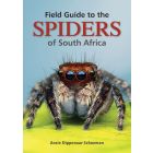 Field Guide to the Spiders of South Africa (EBOEK)