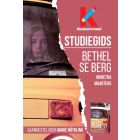Studiegids: Bethel se berg (EBOEK)