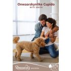 Onwaarskynlike cupido