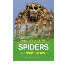 Field Guide to South African Spiders (EBOEK)